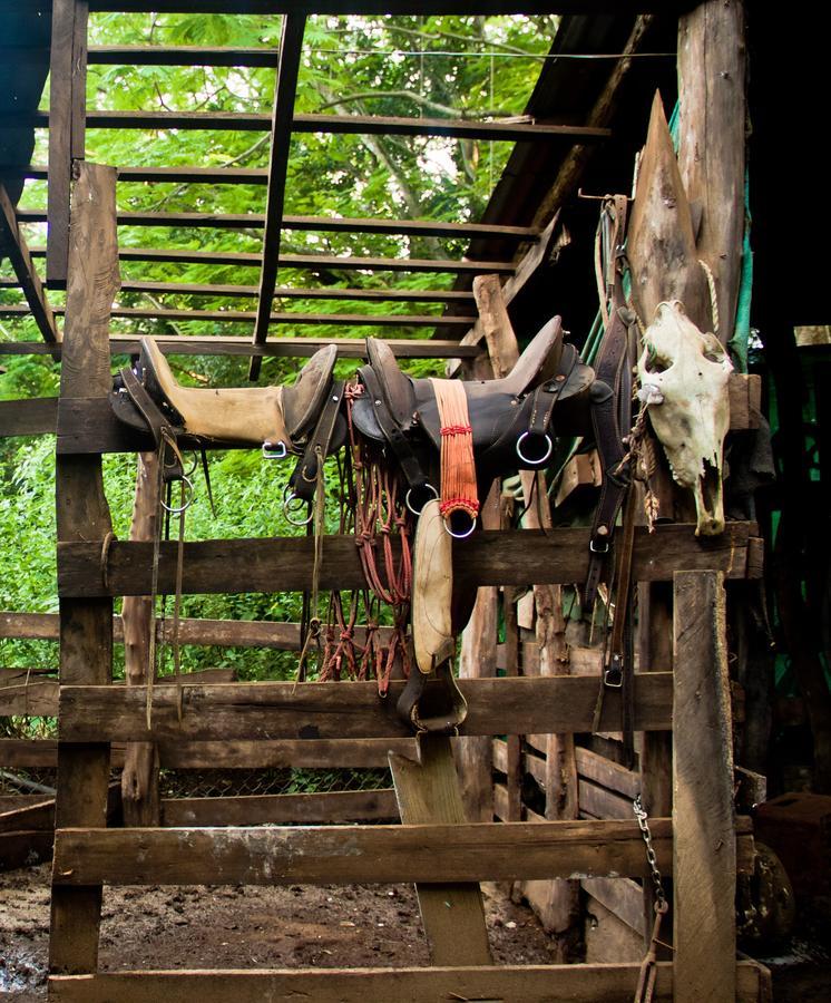 Quinta Mi Tata B&B Sardinal Ngoại thất bức ảnh